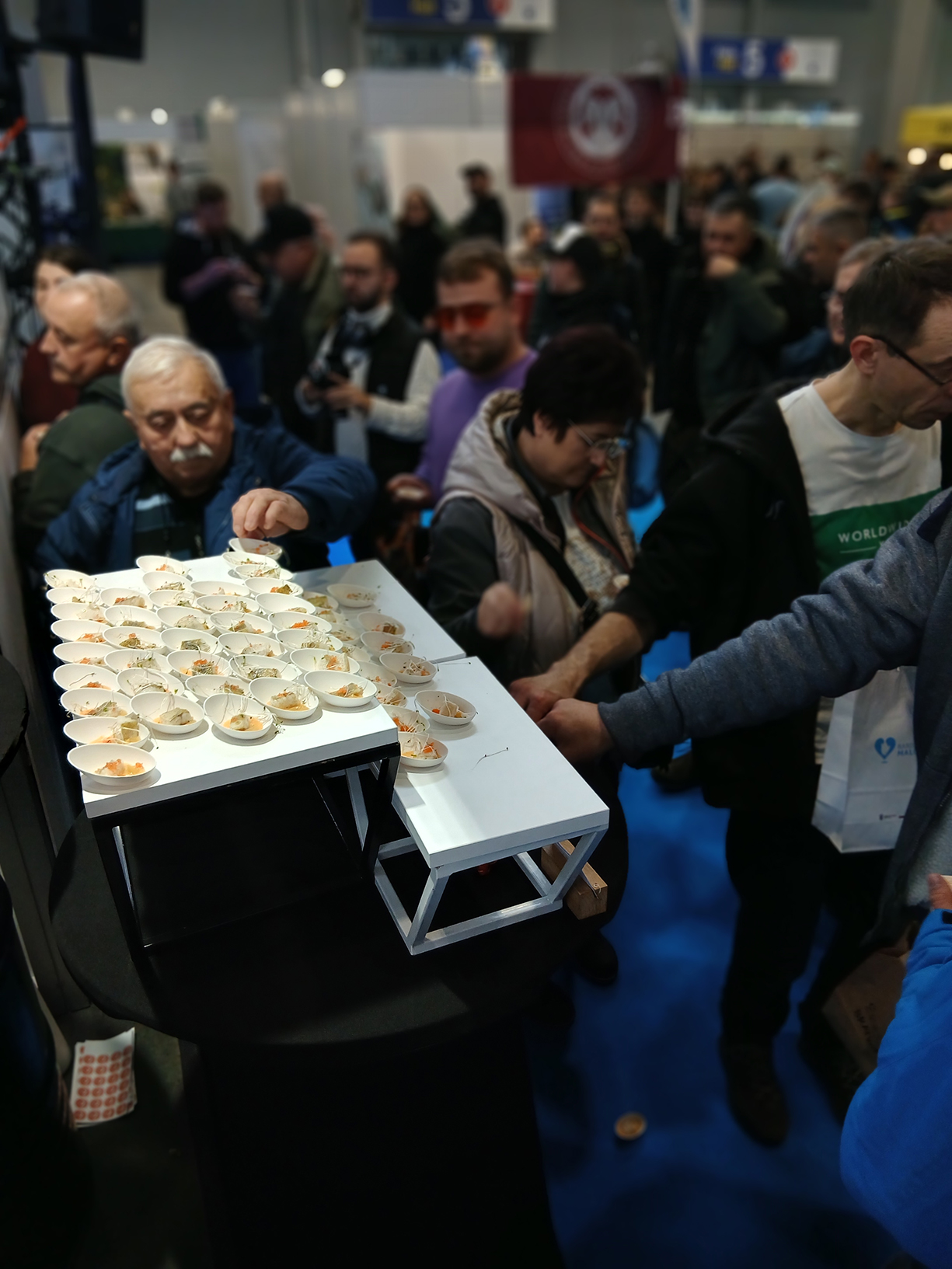 Działania w ramach fazy edukacyjnej