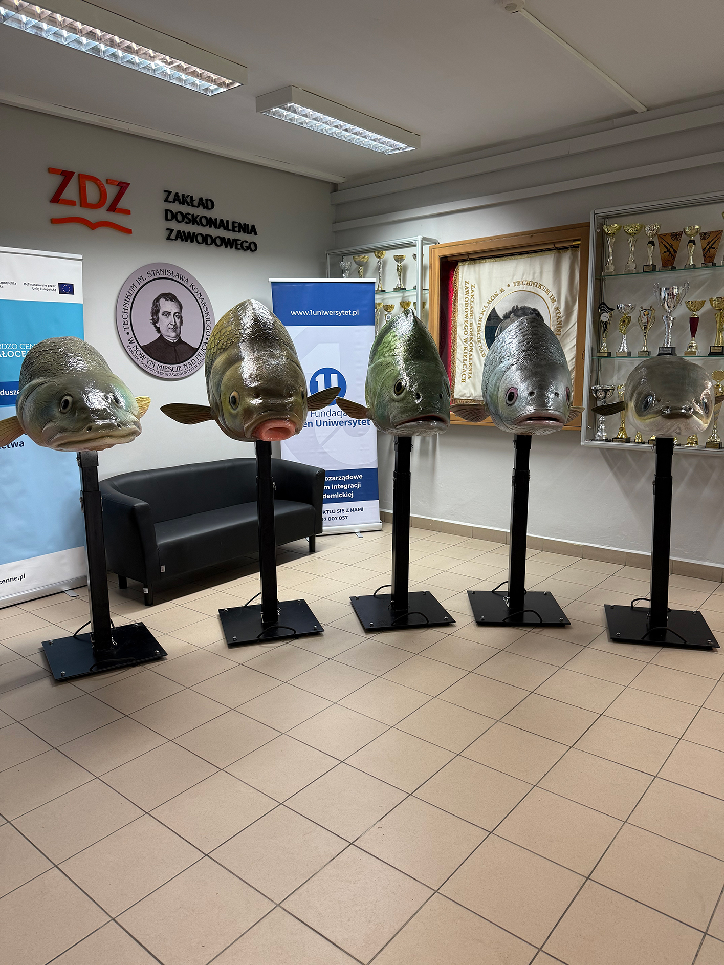 Działania w ramach fazy edukacyjnej